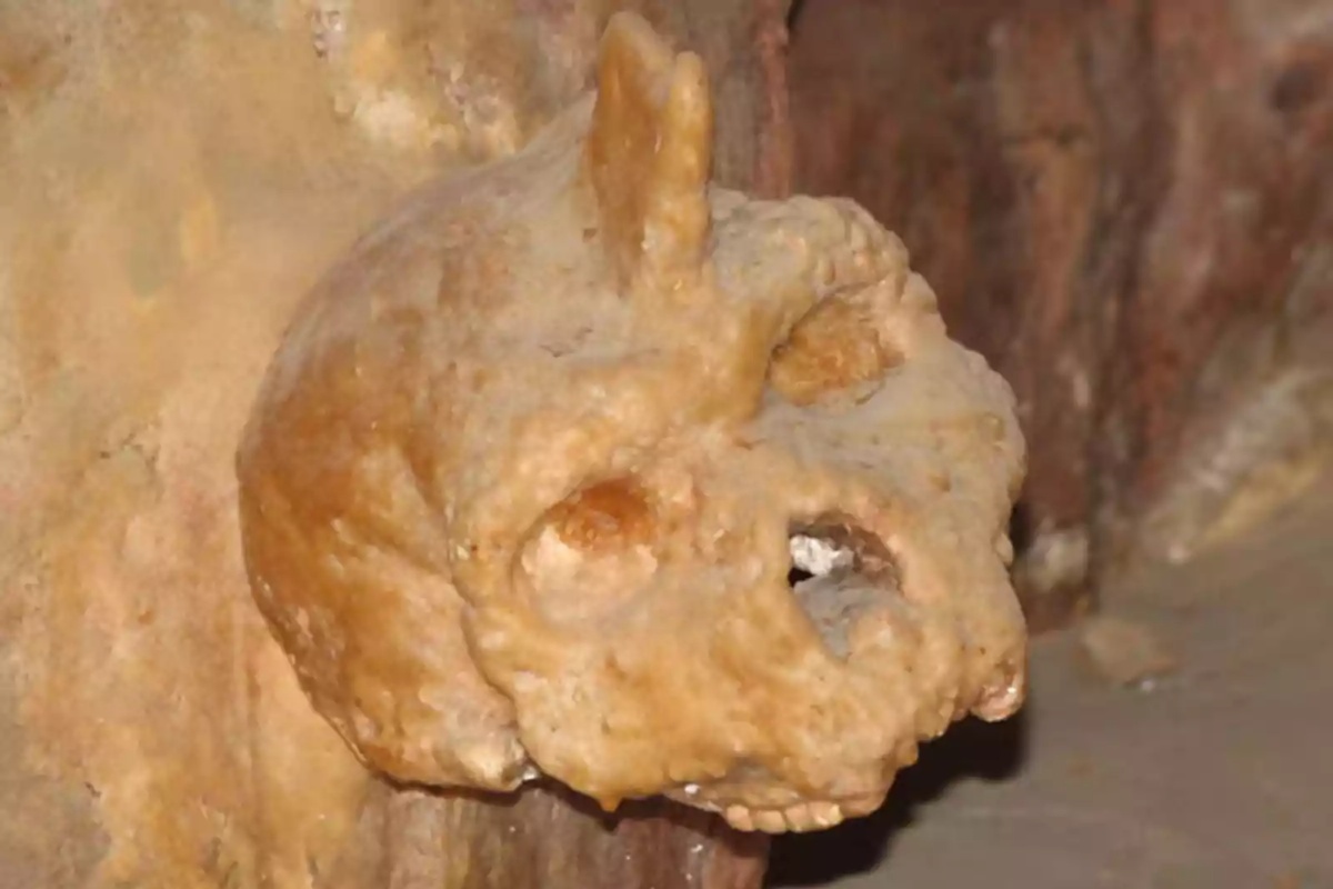 Graikijoje rasta 300 000 metų senumo kaukolė, kuri nėra nei žmogus, nei neandertaliečiai. 3 detalė