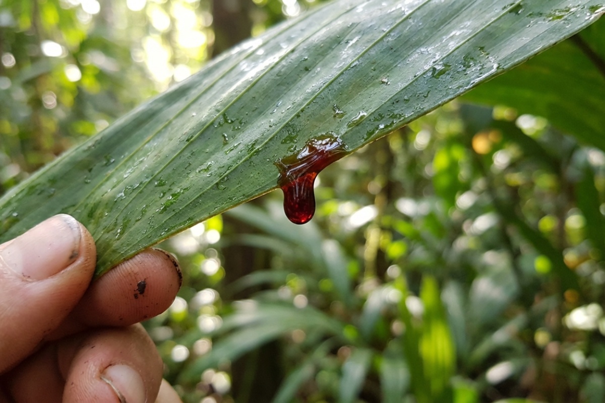 Jerónimo, ekspertas vaistininkas, apie tai, kaip apsaugoti lūpas nuo šalčio: 
