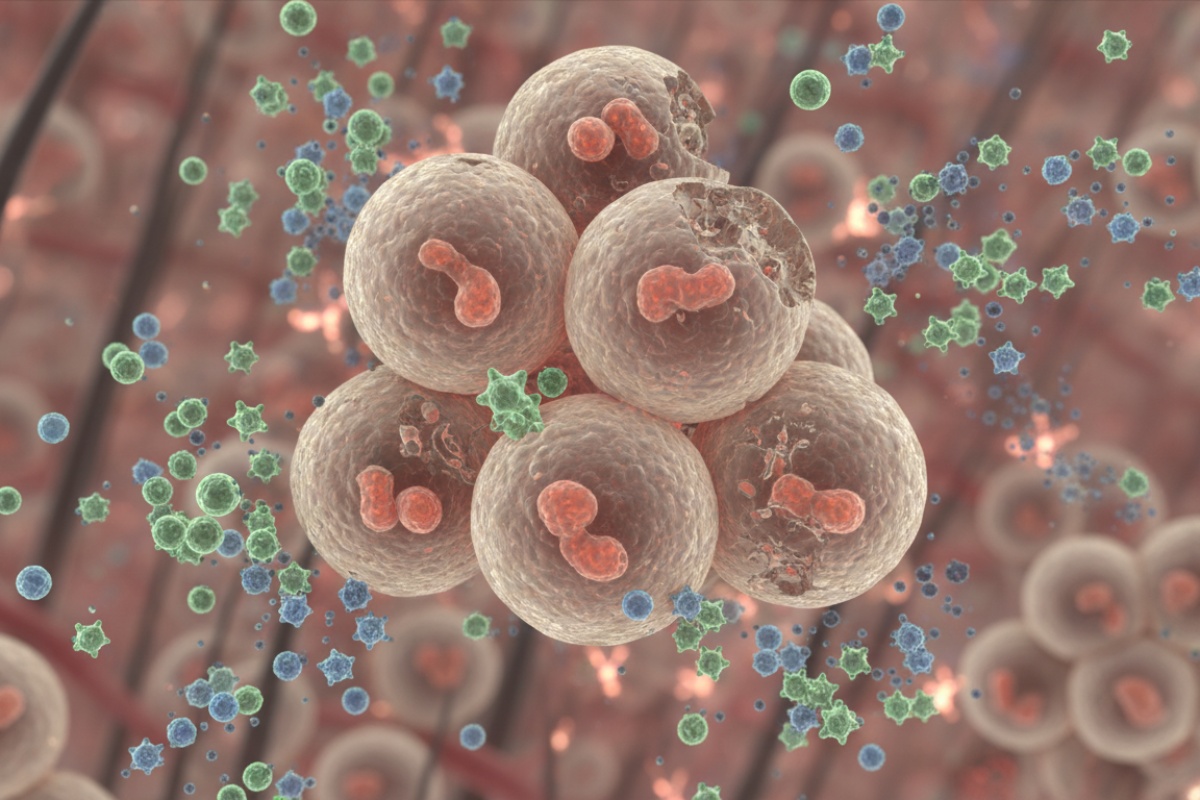 Daugelį metų mes kaltinome stresą dėl nuplikimo, nesuprasdami priežasties. Mokslas ką tik rado trūkstamą nuorodą 2