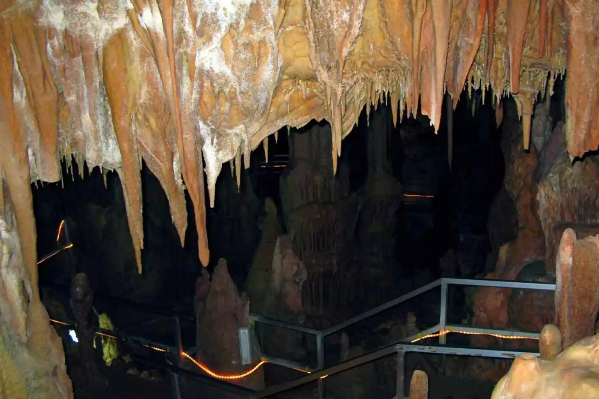 Graikijoje rasta 300 000 metų senumo kaukolė, kuri nėra nei žmogus, nei neandertaliečiai. 1 detalė